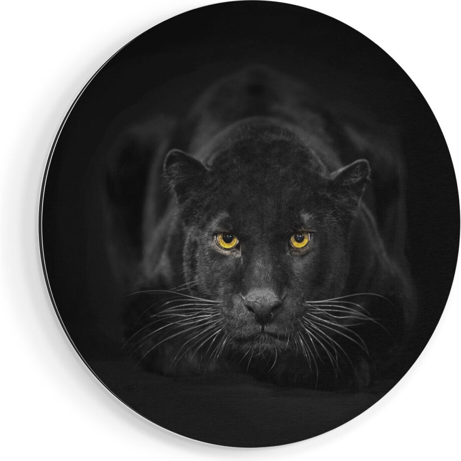 Artaza Dibond Muurcirkel Zwarte Panter Met Oranje Ogen - Ø 40 cm - Klein - Wandcirkel - Rond Schilderij - Voor Binnen en Buiten afbeelding 1