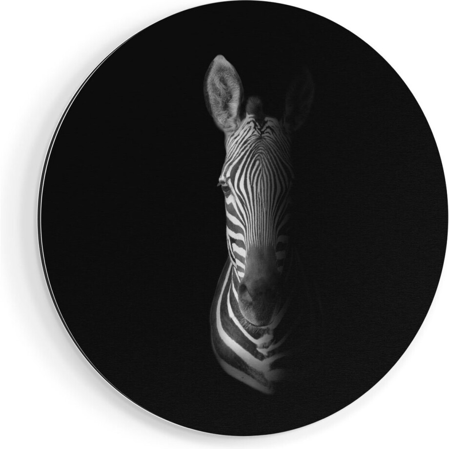 Artaza Dibond Muurcirkel Halve Zebra - Zwart Wit - Ø 50 cm - Klein - Wandcirkel - Rond Schilderij - Voor Binnen en Buiten Artaza Dibond Muurcirkel Halve Zebra - Zwart Wit - Ø 50 cm - Klein - Wandcirkel - Rond Schilderij - Voor Binnen en Buiten afbeelding 1