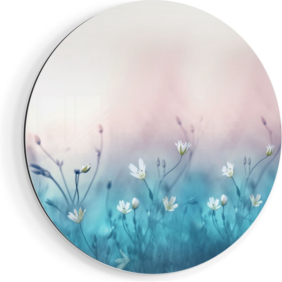 Artaza Dibond Muurcirkel Witte Bloemen Op Een Blauw Achtergrond - Ø 80 cm - Groot - Wandcirkel - Rond Schilderij - Voor Binnen en Buiten afbeelding 1