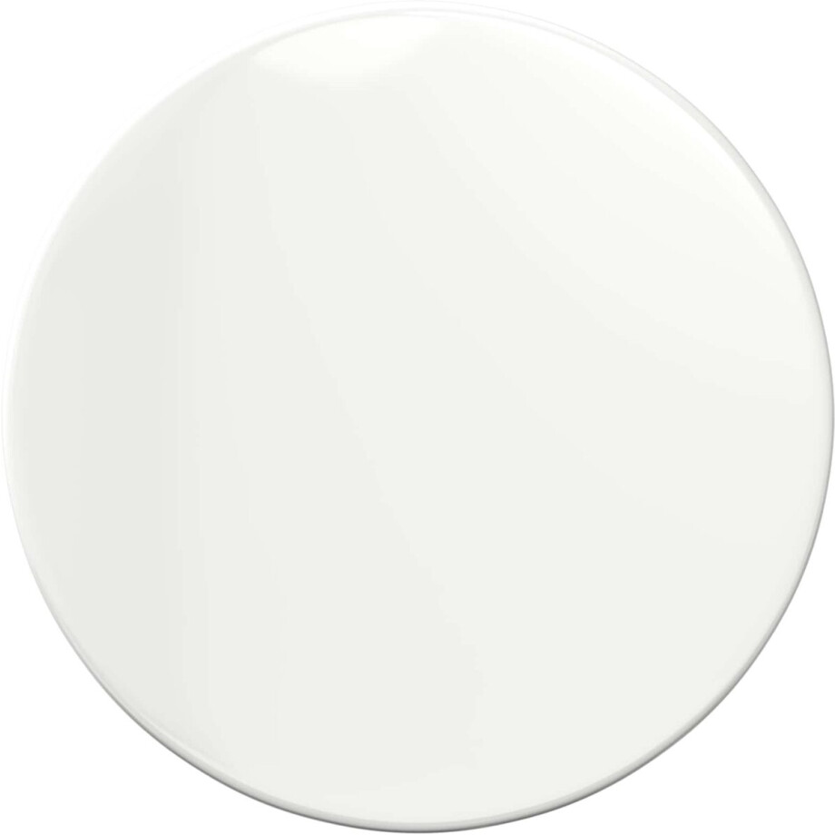 vidaXL - Tafelblad - Ø - 30 - x - 1,5 - cm - Rond - Bewerkt - hout - Hoogglans - Wit vidaXL - Tafelblad - Ø - 30 - x - 1,5 - cm - Rond - Bewerkt - hout - Hoogglans - Wit afbeelding 1