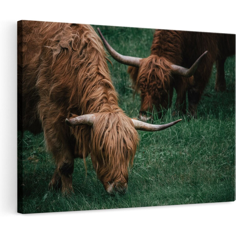 Artaza Canvas Schilderij Schotse Hooglander - 120x80 cm - Groot - Wanddecoratie Woonkamer - Muurdecoratie Dieren - Schilderijen Op Canvas afbeelding 1