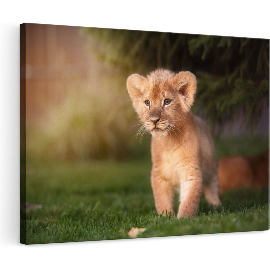 Artaza Canvas Schilderij Leeuw - 120x80 cm - Groot - Wanddecoratie Dieren - Muurdecoratie Welpje - Schilderijen Op Canvas afbeelding 1
