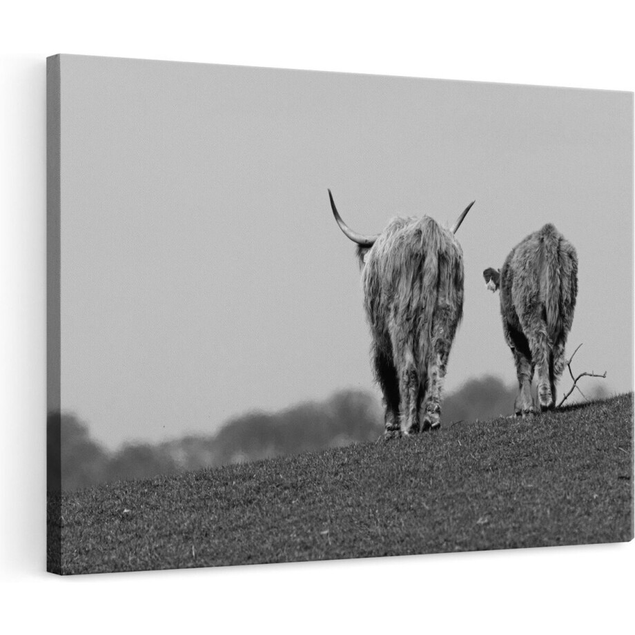 Artaza Canvas Schilderij Schotse Hooglander - 120x80 cm - Groot - Wanddecoratie Zwart Wit - Muurdecoratie Weiland - Schilderijen Op Canvas Artaza Canvas Schilderij Schotse Hooglander - 120x80 cm - Groot - Wanddecoratie Zwart Wit - Muurdecoratie Weiland - Schilderijen Op Canvas afbeelding 1