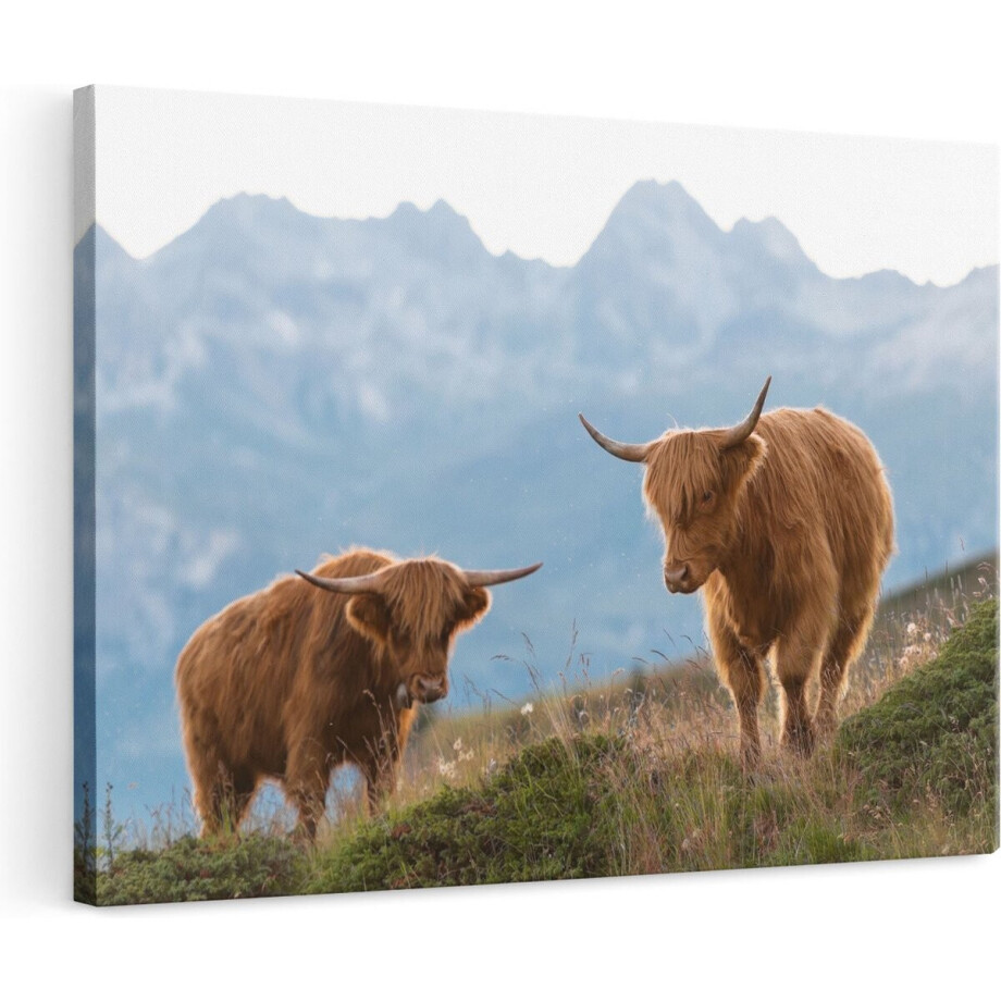 Artaza Canvas Schilderij Schotse Hooglander - 120x80 cm - Groot - Wanddecoratie Bergen - Muurdecoratie Woonkamer - Decoratie Natuur afbeelding 1