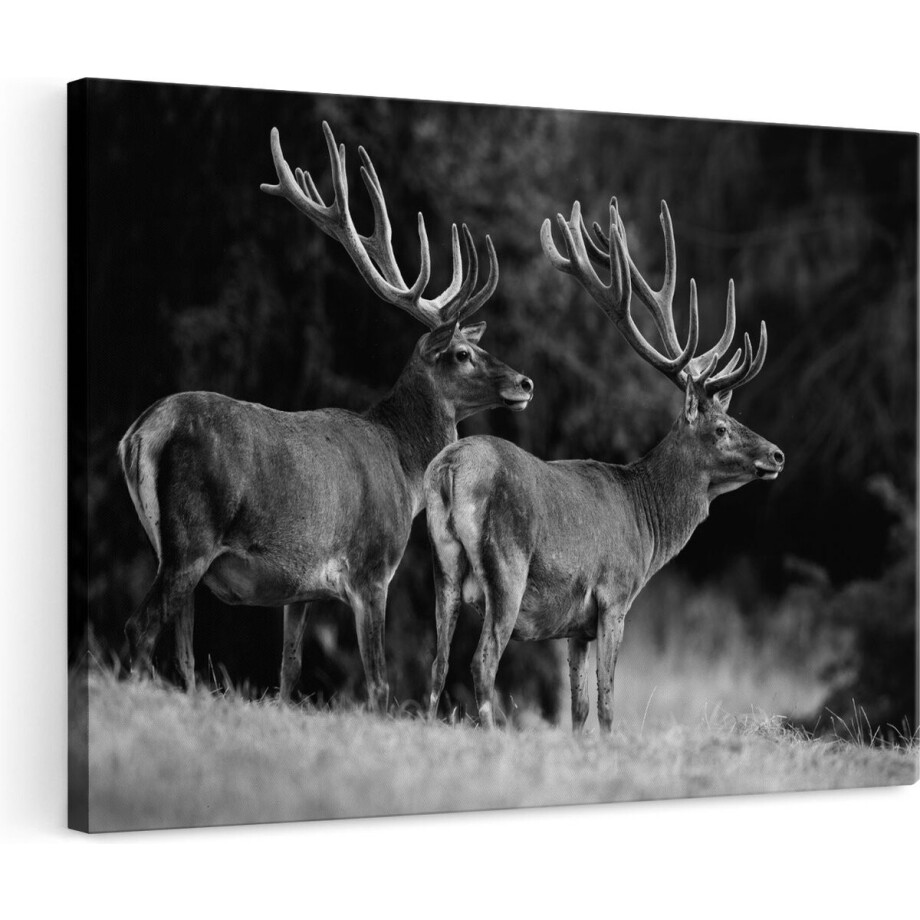Artaza Canvas Schilderij Hert - 120x80 cm - Groot - Wanddecoratie Gewei - Muurdecoratie Hertenkop - Zwart-Wit Schilderijen afbeelding 1