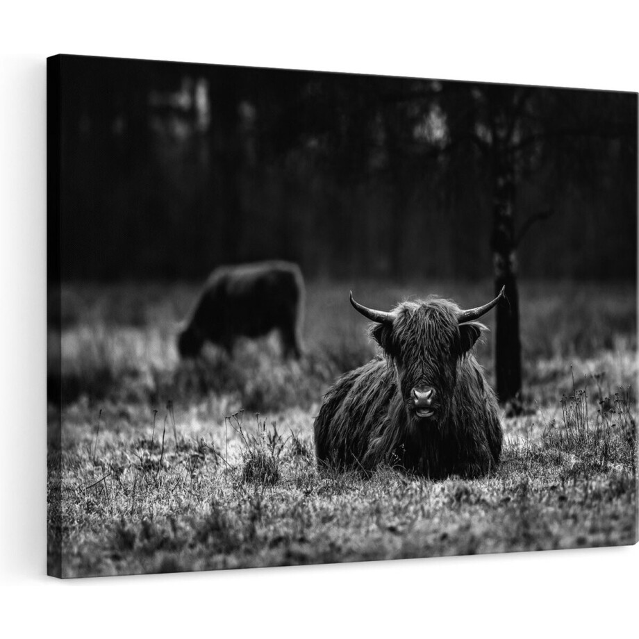 Artaza Canvas Schilderij Schotse Hooglanders in de Weide - Zwart Wit - 120x80 - Groot - Foto Op Canvas - Wanddecoratie Woonkamer Artaza Canvas Schilderij Schotse Hooglanders in de Weide - Zwart Wit - 120x80 - Groot - Foto Op Canvas - Wanddecoratie Woonkamer afbeelding 1