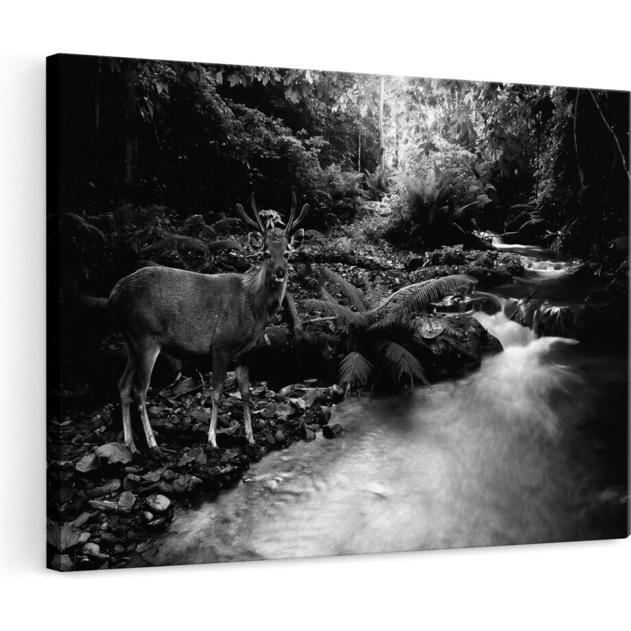 Artaza Canvas Schilderij Hert - 120x80 cm - Groot - Wanddecoratie Bos - Muurdecoratie Rivier - Schilderijen Op Canvas Zwart Wit afbeelding 1
