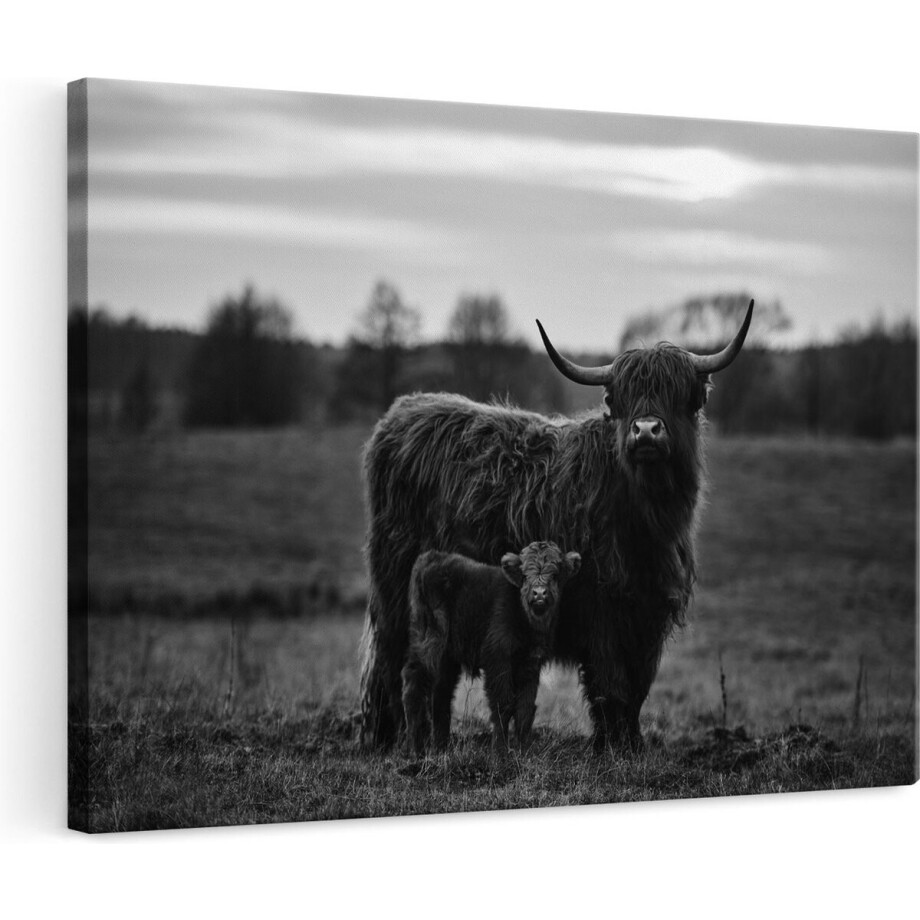 Artaza Canvas Schilderij Schotse Hooglander - 120x80 cm - Groot - Wanddecoratie Woonkamer - Muurdecoratie Dieren - Schilderijen Op Canvas Artaza Canvas Schilderij Schotse Hooglander - 120x80 cm - Groot - Wanddecoratie Woonkamer - Muurdecoratie Dieren - Schilderijen Op Canvas afbeelding 1