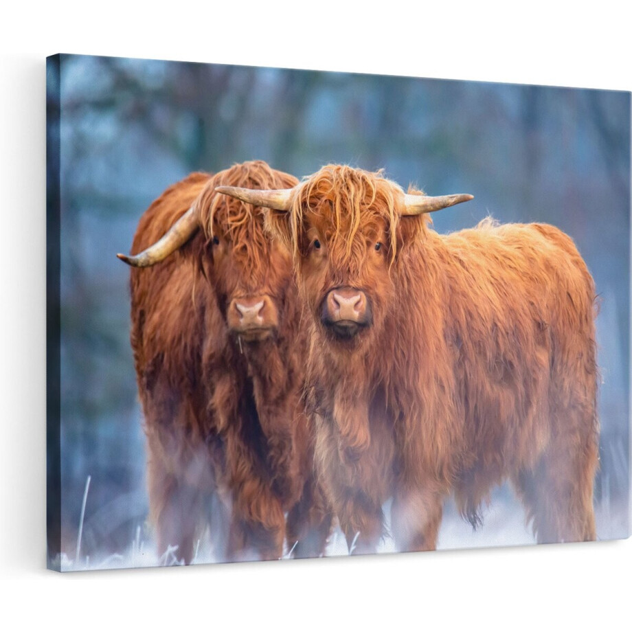 Artaza Canvas Schilderij Twee Schotse Hooglanders in de Sneeuw - 120x80 cm - Groot - Wanddecoratie Woonkamer - Schilderijen - Muurdecoratie afbeelding 1
