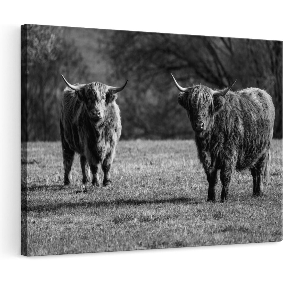 Artaza Canvas Schilderij Twee Schotse Hooglanders op het Gras - Zwart Wit - 120x80 - Groot - Foto Op Canvas - Wanddecoratie Artaza Canvas Schilderij Twee Schotse Hooglanders op het Gras - Zwart Wit - 120x80 - Groot - Foto Op Canvas - Wanddecoratie afbeelding 1
