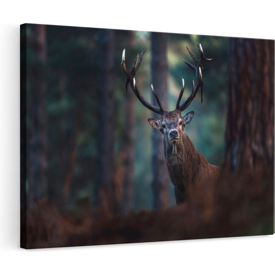 Artaza Canvas Schilderij Hert in het Bos van Dicthbij - 120x80 - Groot - Foto Op Canvas - Wanddecoratie Woonkamer Artaza Canvas Schilderij Hert in het Bos van Dicthbij - 120x80 - Groot - Foto Op Canvas - Wanddecoratie Woonkamer afbeelding 1