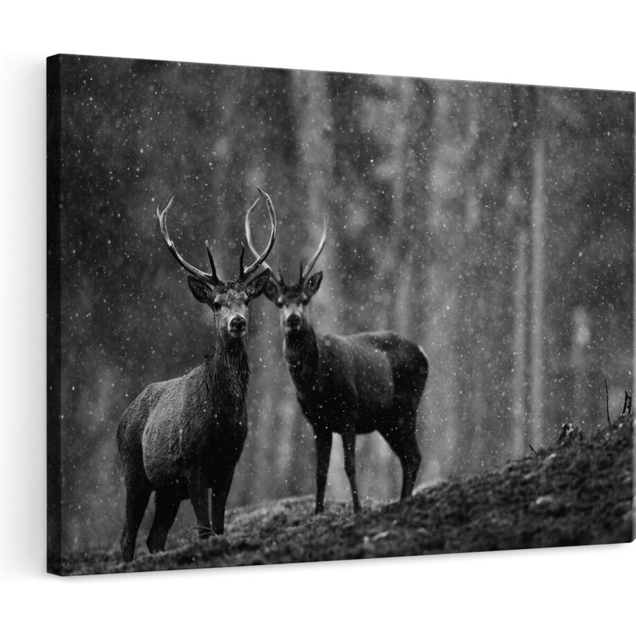 Artaza Canvas Schilderij Hert - 120x80 cm - Groot - Wanddecoratie Bos - Muurdecoratie Herten In Sneeuw - Zwart Wit Artaza Canvas Schilderij Hert - 120x80 cm - Groot - Wanddecoratie Bos - Muurdecoratie Herten In Sneeuw - Zwart Wit afbeelding 1