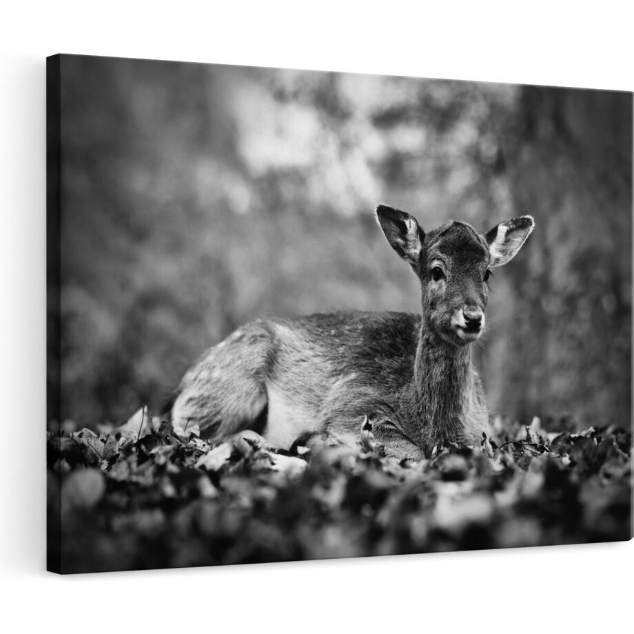 Artaza Canvas Schilderij Baby Hert tussen de Bladeren in een Herfst Bos - Zwart Wit - 120x80 - Groot - Foto Op Canvas - Wanddecoratie afbeelding 1
