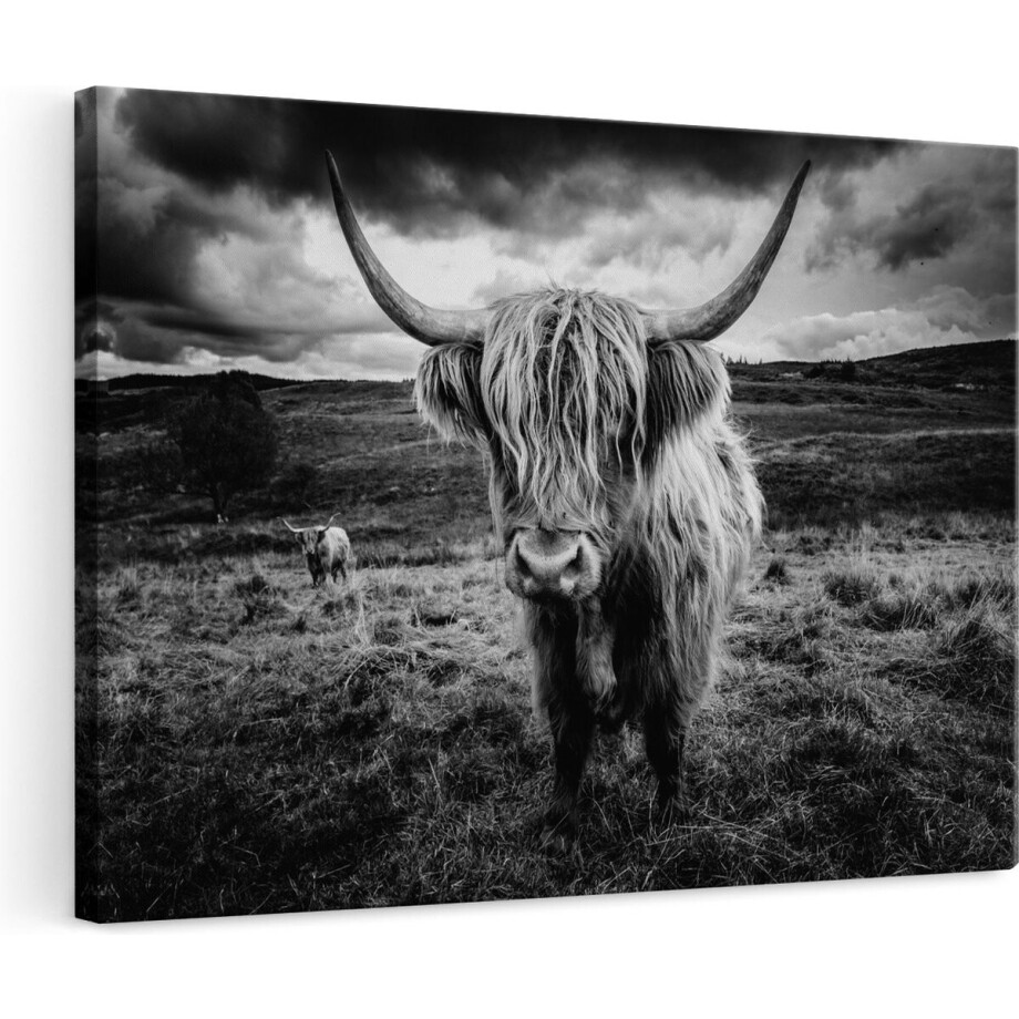 Artaza Canvas Schilderij Schotse Hooglander - 120x80 cm - Groot - Wanddecoratie Zwart Wit - Muurdecoratie Woonkamer - Dramatische Lucht afbeelding 1
