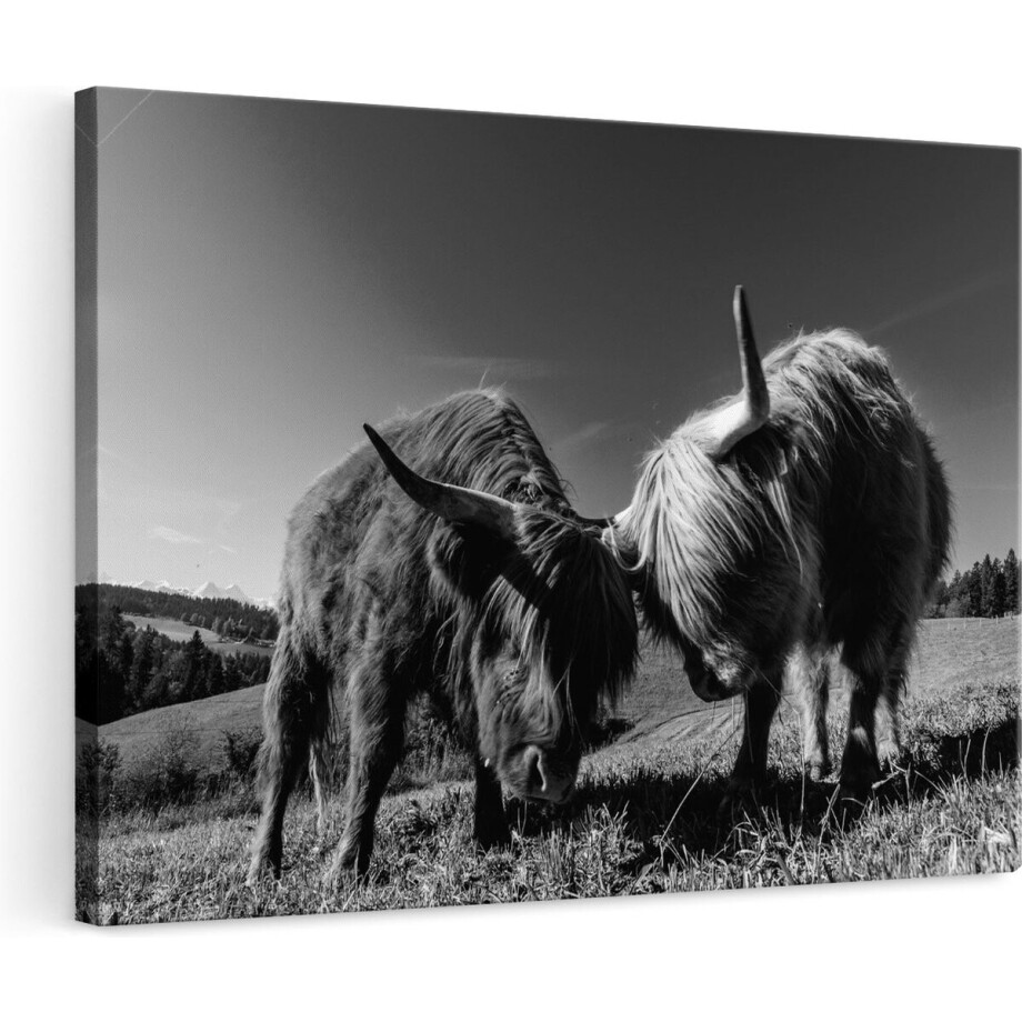 Artaza Canvas Schilderij Schotse Hooglander - 120x80 cm - Groot - Wanddecoratie Zwart Wit - Muurdecoratie Woonkamer - Schilderijen Op Canvas afbeelding 1