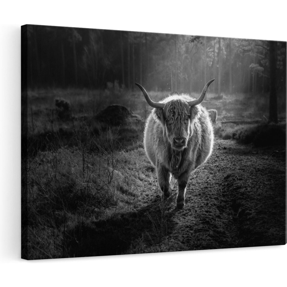 Artaza Canvas Schilderij Schotse Hooglander - 120x80 cm - Groot - Wanddecoratie Woonkamer - Muurdecoratie Bos - Zwart Wit Artaza Canvas Schilderij Schotse Hooglander - 120x80 cm - Groot - Wanddecoratie Woonkamer - Muurdecoratie Bos - Zwart Wit afbeelding 1