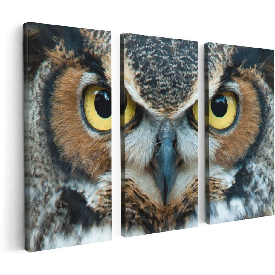 Artaza Canvas Schilderij Drieluik Uil Kop Met Gouden Ogen  - 120x80 - Foto Op Canvas - Canvas Print afbeelding 1