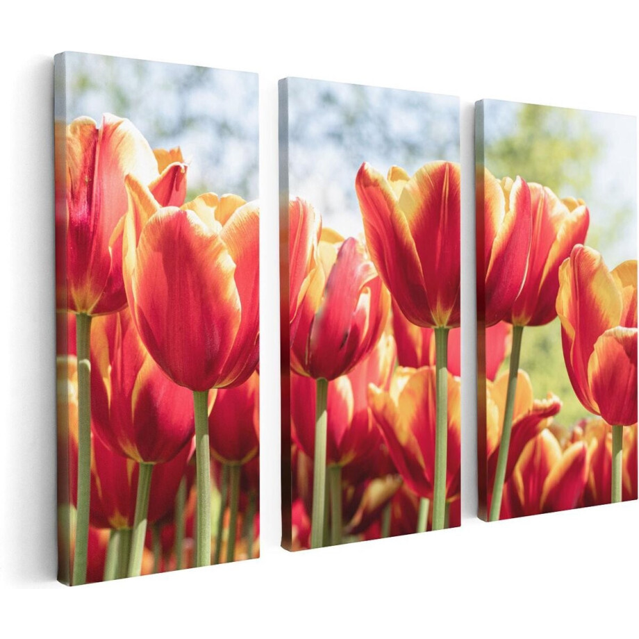Artaza Canvas Schilderij Drieluik Oranje Rode Tulpen - 120x80 - Foto Op Canvas - Canvas Print Artaza Canvas Schilderij Drieluik Oranje Rode Tulpen - 120x80 - Foto Op Canvas - Canvas Print afbeelding 1
