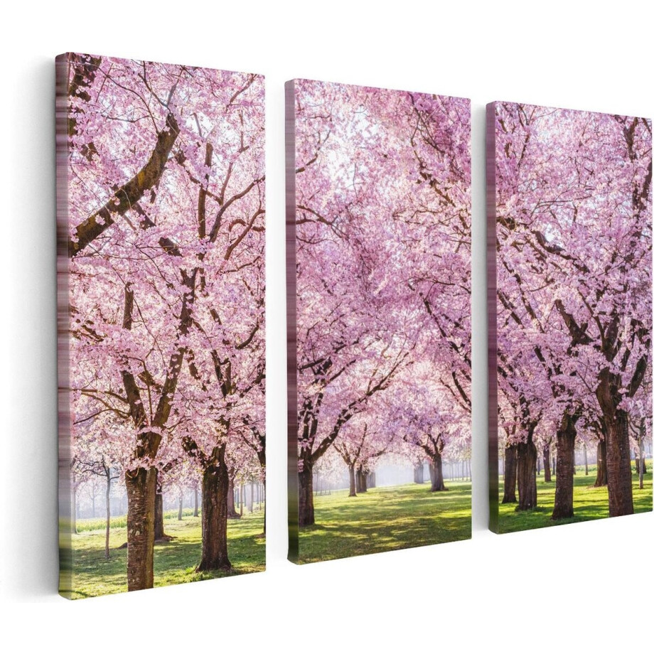 Artaza Canvas Schilderij Drieluik Roze Bloesembomen Park - Bloemen - 120x80 - Foto Op Canvas - Canvas Print afbeelding 1