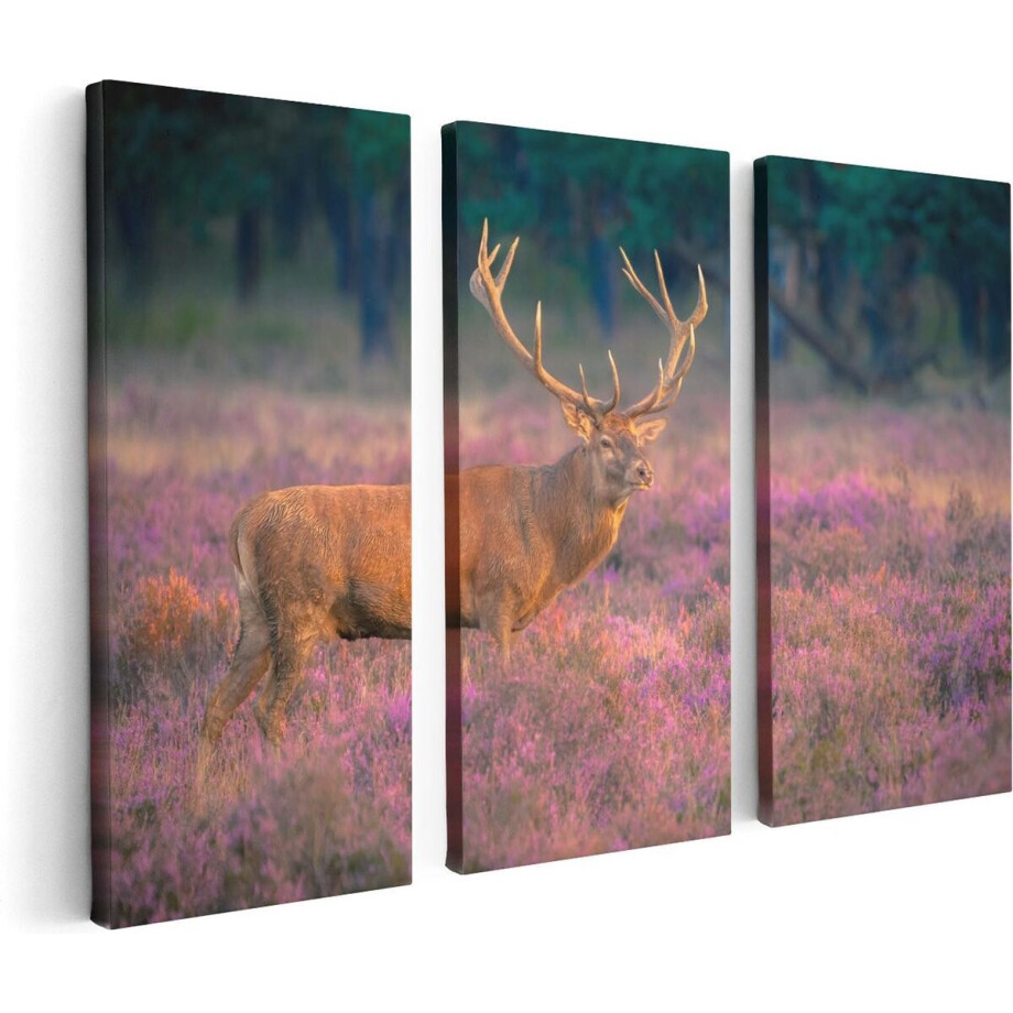 Artaza Canvas Schilderij Drieluik Hert In De Weide Tijdens Zonsondergang - 120x80 - Foto Op Canvas - Canvas Print afbeelding 1