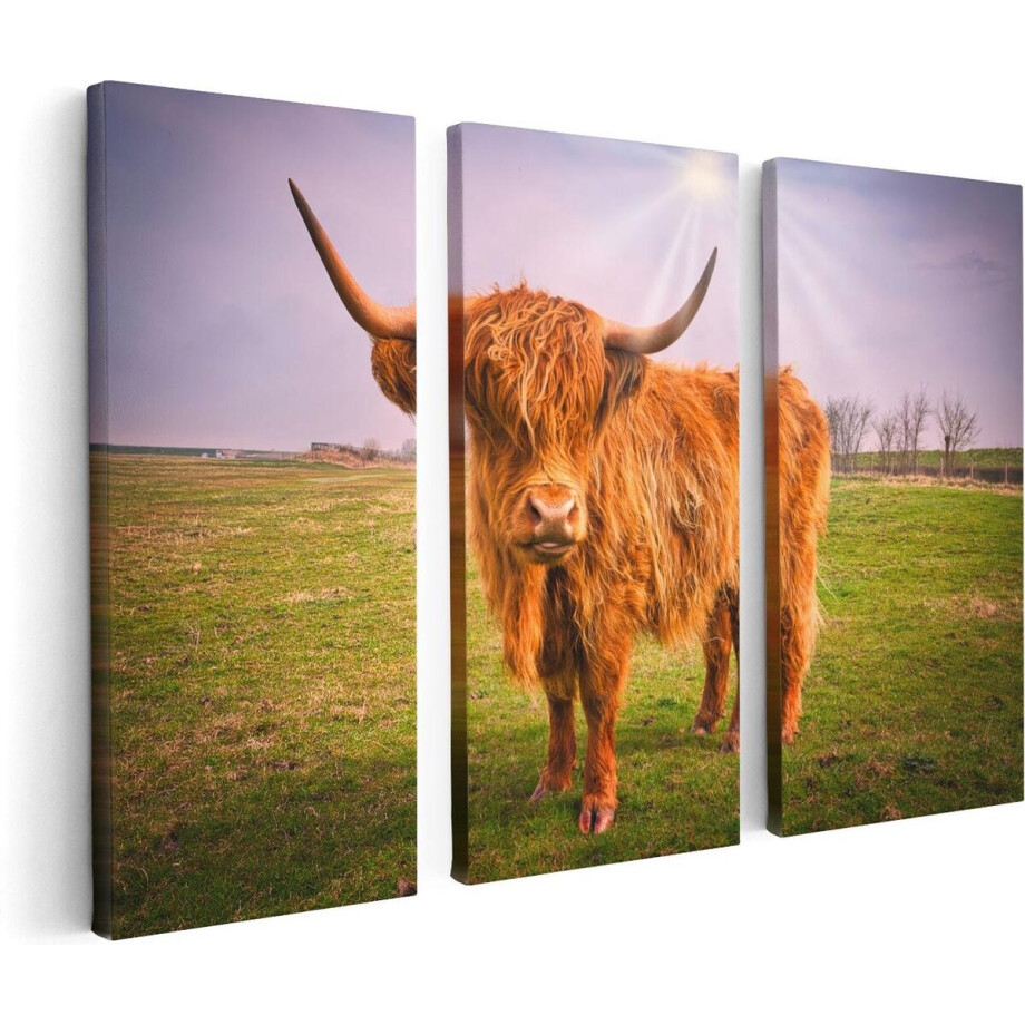 Artaza Canvas Schilderij Drieluik Bruine Schotse Hooglander Koe - Kleur - 120x80 - Foto Op Canvas - Canvas Print Artaza Canvas Schilderij Drieluik Bruine Schotse Hooglander Koe - Kleur - 120x80 - Foto Op Canvas - Canvas Print afbeelding 1