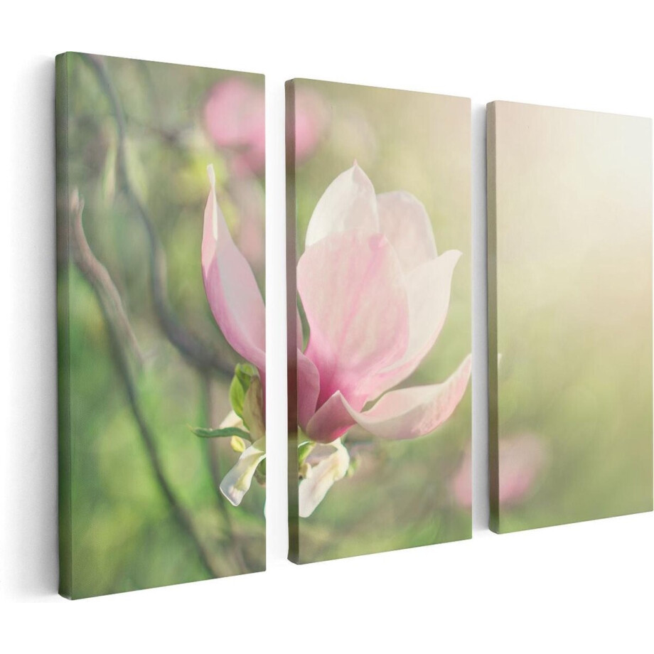 Artaza Canvas Schilderij Drieluik Roze Magnolia Bloem  - 120x80 - Foto Op Canvas - Canvas Print afbeelding 1