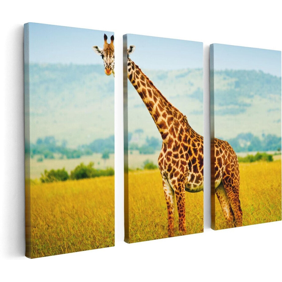 Artaza Canvas Schilderij Drieluik Giraffe In Het Veld - 120x80 - Foto Op Canvas - Canvas Print afbeelding 1