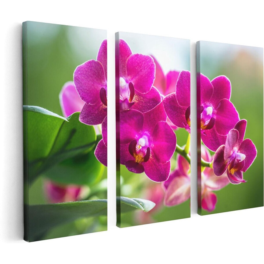 Artaza Canvas Schilderij Drieluik Roze Orchidee Bloemen - 120x80 - Foto Op Canvas - Canvas Print Artaza Canvas Schilderij Drieluik Roze Orchidee Bloemen - 120x80 - Foto Op Canvas - Canvas Print afbeelding 1