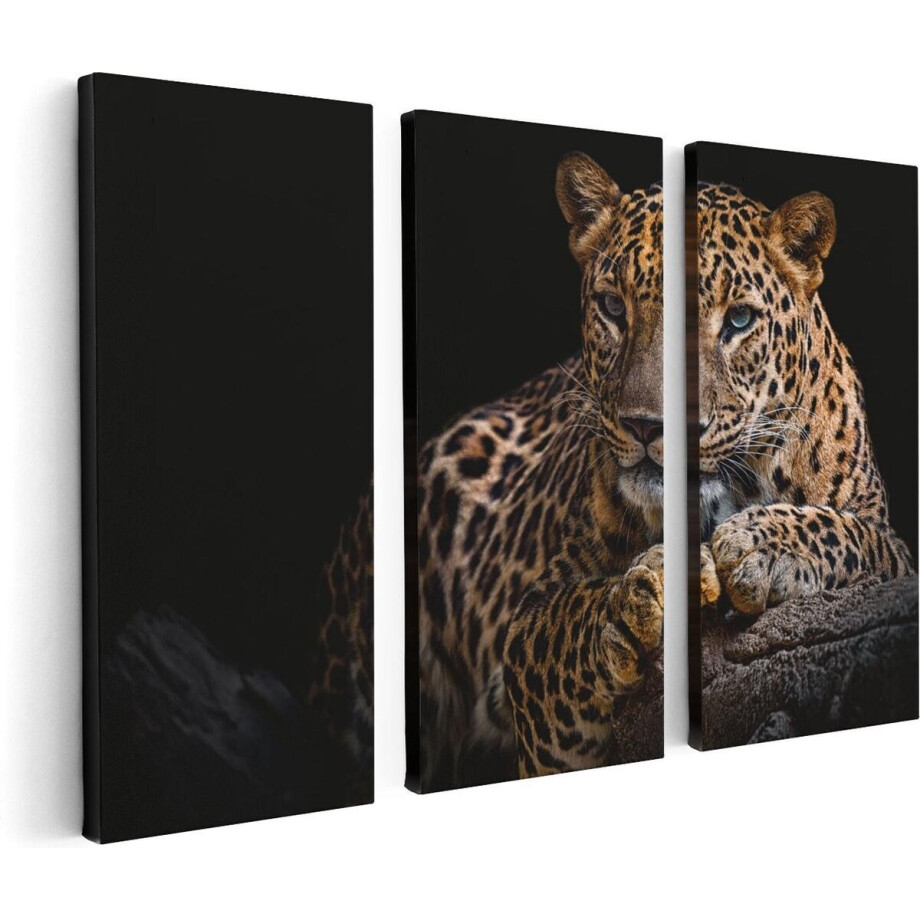 Artaza Canvas Schilderij Drieluik Luipaard Met Blauwe Ogen - 120x80 - Foto Op Canvas - Canvas Print afbeelding 1
