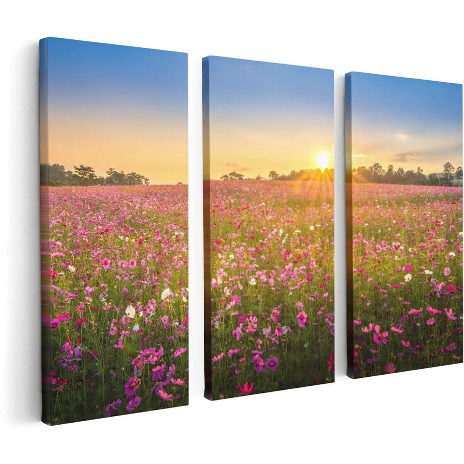 Artaza Canvas Schilderij Drieluik Bloemenveld Met Roze Kosmos  - 120x80 - Foto Op Canvas - Canvas Print afbeelding 1