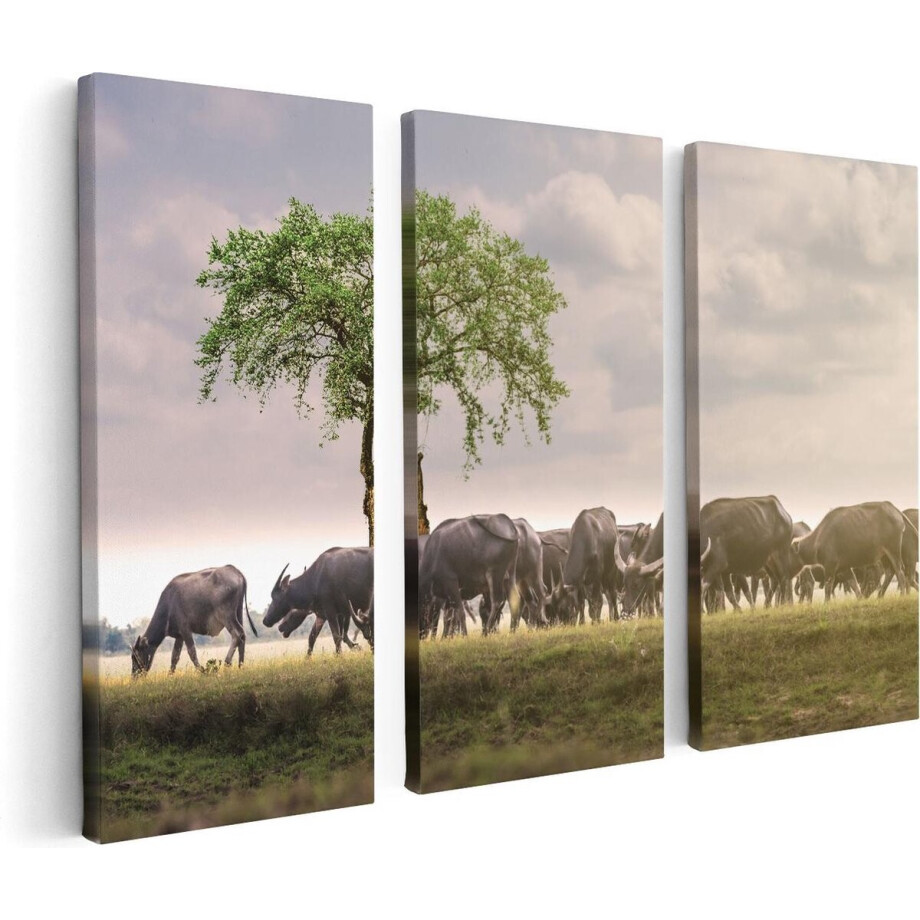 Artaza Canvas Schilderij Drieluik Kudde Buffels bij een Boom - 120x80 - Foto Op Canvas - Canvas Print Artaza Canvas Schilderij Drieluik Kudde Buffels bij een Boom - 120x80 - Foto Op Canvas - Canvas Print afbeelding 1