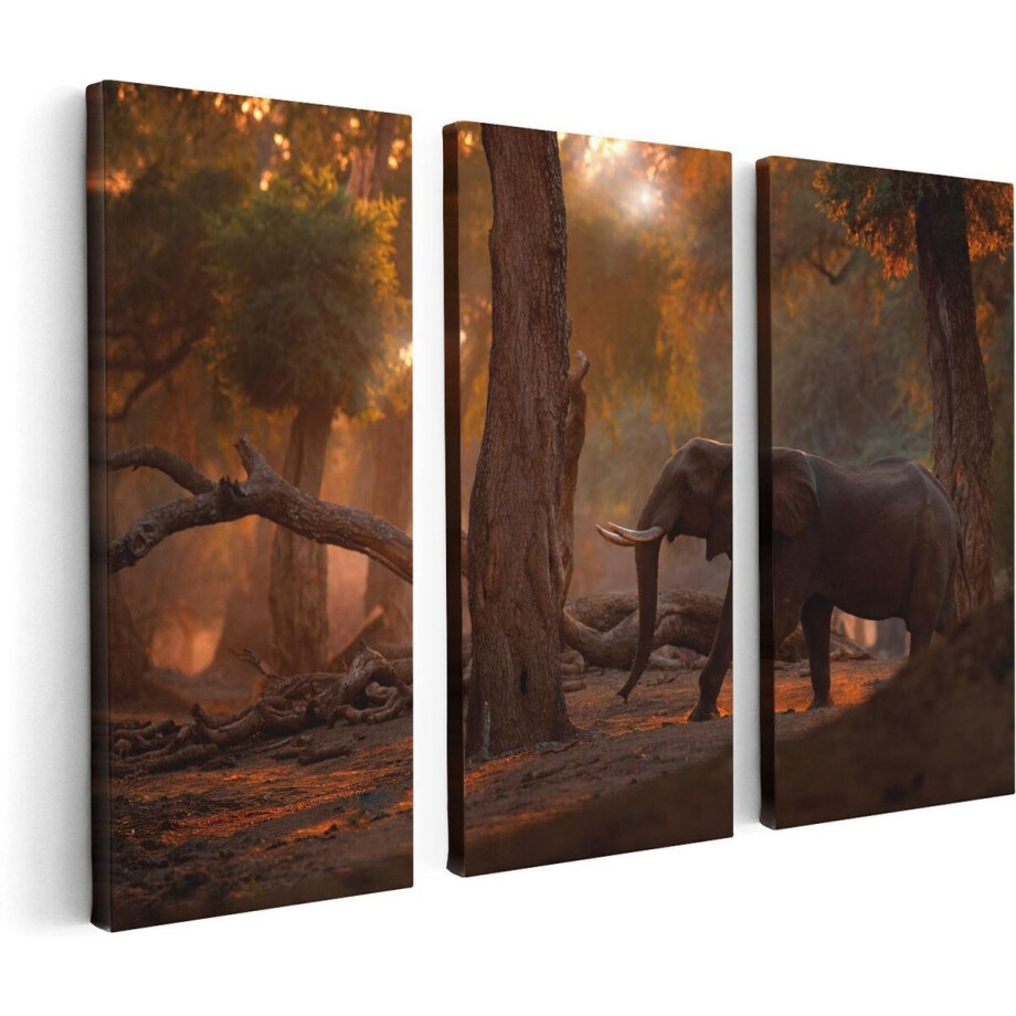 Artaza Canvas Schilderij Drieluik Olifant In het Bos - 120x80 - Foto Op Canvas - Canvas Print Artaza Canvas Schilderij Drieluik Olifant In het Bos - 120x80 - Foto Op Canvas - Canvas Print afbeelding 1