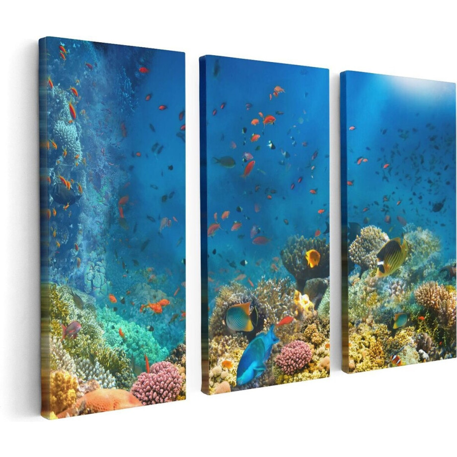 Artaza Canvas Schilderij Drieluik Onderwater Vissen Met Koraal In De Zee - 120x80 - Foto Op Canvas - Canvas Print afbeelding 1