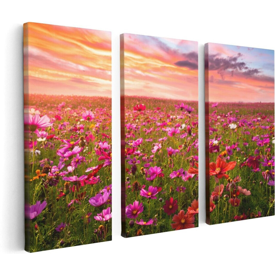 Artaza Canvas Schilderij Drieluik Kleurrijke Kosmos Bloemenveld - 120x80 - Foto Op Canvas - Canvas Print afbeelding 1