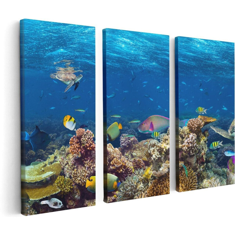 Artaza Canvas Schilderij Drieluik Vissen met Koraalrif in de Oceaan - 120x80 - Foto Op Canvas - Canvas Print Artaza Canvas Schilderij Drieluik Vissen met Koraalrif in de Oceaan - 120x80 - Foto Op Canvas - Canvas Print afbeelding 1