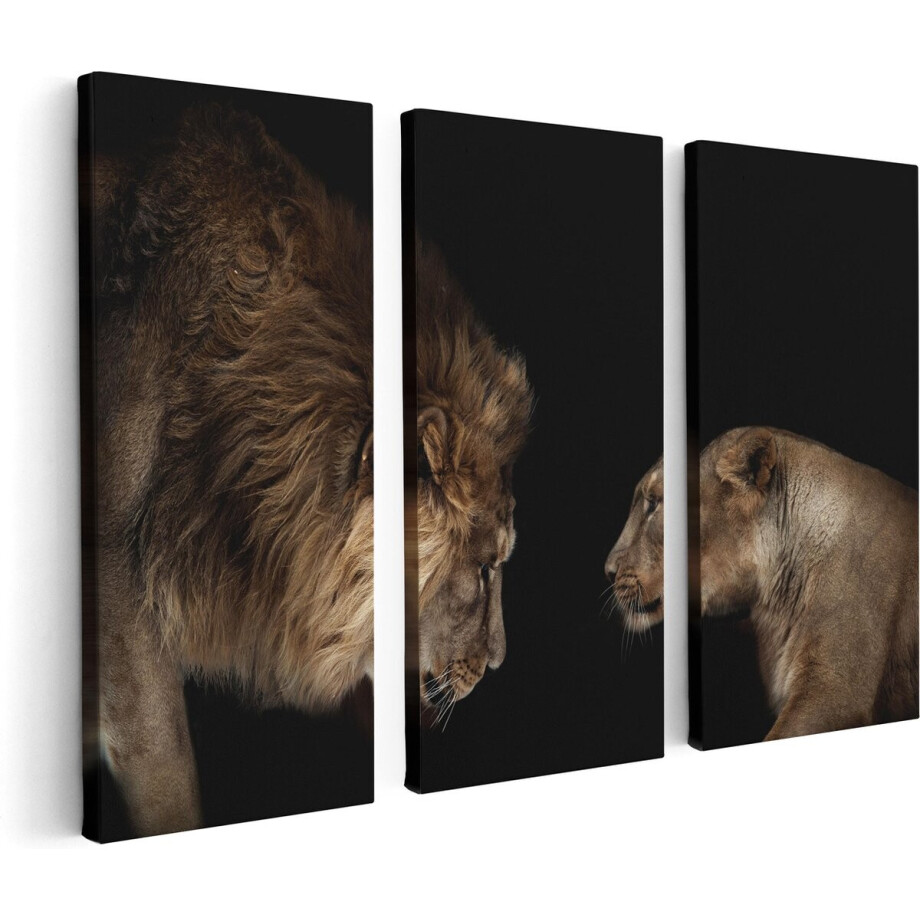Artaza Canvas Schilderij Drieluik Leeuw En Leeuwin - 120x80 - Foto Op Canvas - Canvas Print afbeelding 1