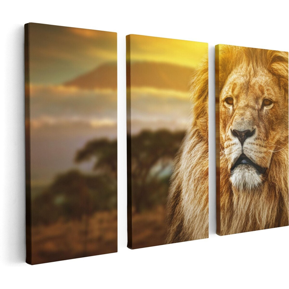 Artaza Canvas Schilderij Drieluik Leeuw - Leeuwenkop - 120x80 - Foto Op Canvas - Canvas Print afbeelding 1