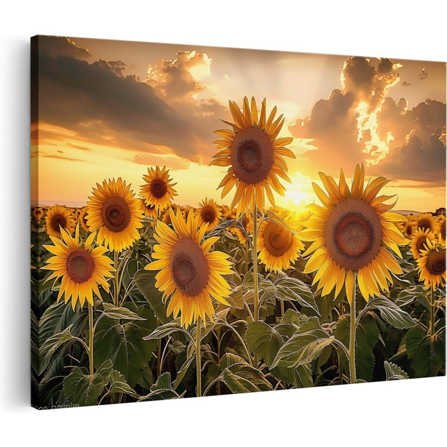 Artaza Canvas Schilderij Zonnebloemen in een Veld bij Zonsondergang - 60x40 - Wanddecoratie - Foto Op Canvas - Canvas Print Artaza Canvas Schilderij Zonnebloemen in een Veld bij Zonsondergang - 60x40 - Wanddecoratie - Foto Op Canvas - Canvas Print afbeelding 1