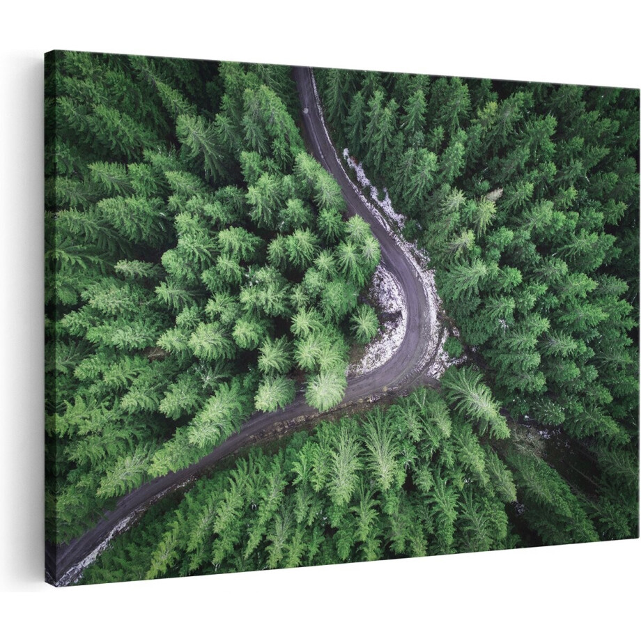 Artaza Canvas Schilderij Weg in het Bos - Natuur - 60x40 - Foto Op Canvas - Canvas Print afbeelding 1