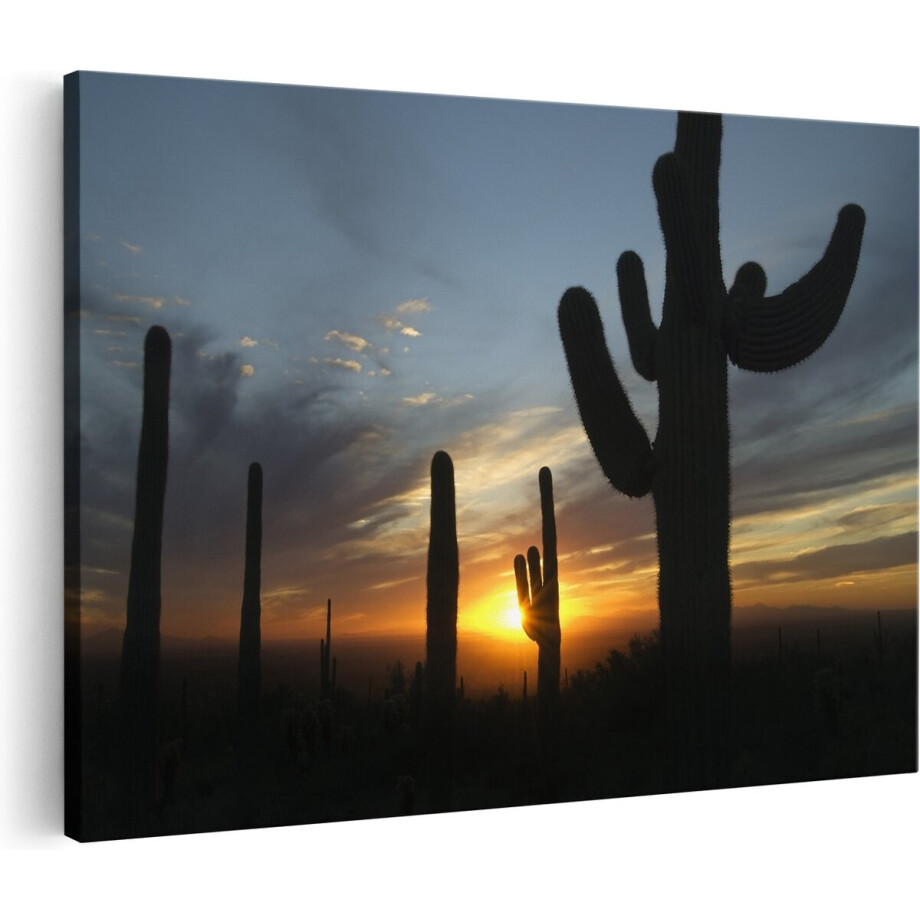 Artaza Canvas Schilderij Cactussen bij Zonsondergang in de Woestijn - 30x20 - Klein - Foto Op Canvas - Canvas Print Artaza Canvas Schilderij Cactussen bij Zonsondergang in de Woestijn - 30x20 - Klein - Foto Op Canvas - Canvas Print afbeelding 1