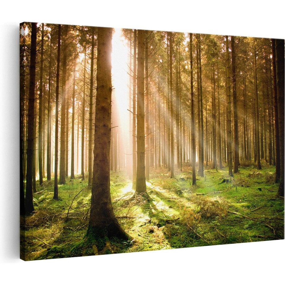 Artaza Canvas Schilderij Herfstbos - Bomen - 90x60 - Foto Op Canvas - Canvas Print - Muurdecoratie afbeelding 1