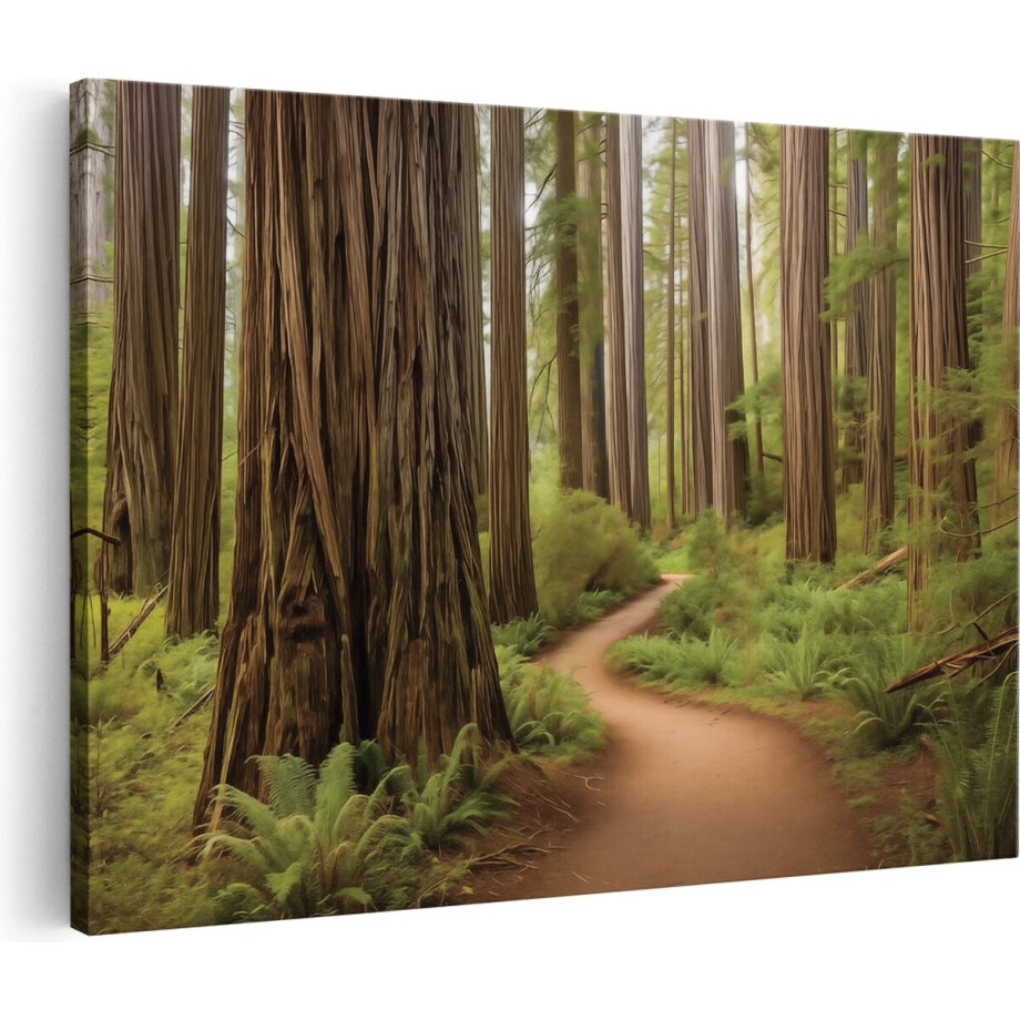 Artaza Canvas Schilderij Pad door een Sequoia Bos - 60x40 cm - Wanddecoratie Woonkamer - Schilderijen - Muurdecoratie afbeelding 1