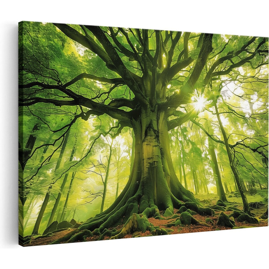 Artaza Canvas Schilderij Grote Groene Boom in het Bos - Landschap - 120x80 cm - Groot - Wanddecoratie Woonkamer - Schilderijen - Muurdecoratie Artaza Canvas Schilderij Grote Groene Boom in het Bos - Landschap - 120x80 cm - Groot - Wanddecoratie Woonkamer - Schilderijen - Muurdecoratie afbeelding 1