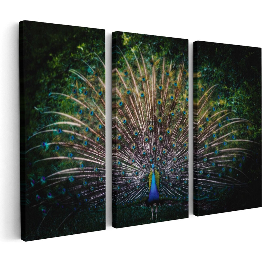 Artaza Canvas Schilderij Drieluik Pauw Met Kleurrijke Veren - Kleur - 60x40 - Klein - Foto Op Canvas - Canvas Print Artaza Canvas Schilderij Drieluik Pauw Met Kleurrijke Veren - Kleur - 60x40 - Klein - Foto Op Canvas - Canvas Print afbeelding 1