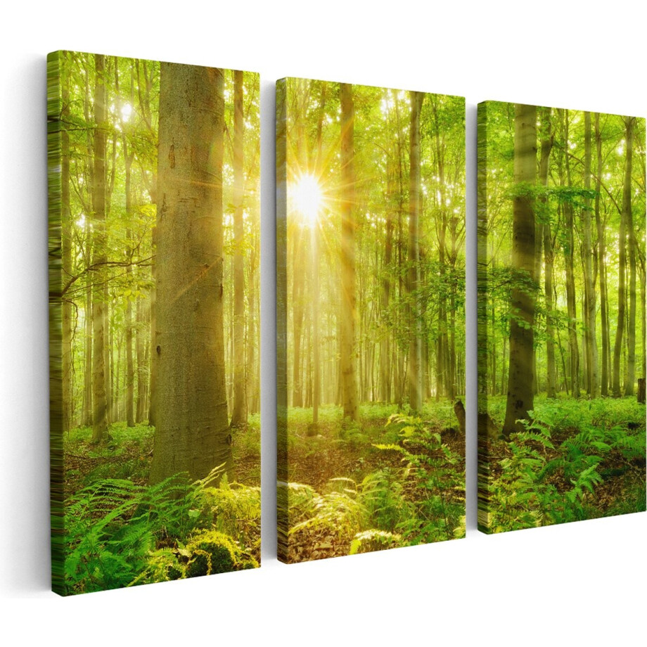 Artaza Canvas Schilderij Drieluik Groen Bos Met Schijnende Zonnestralen - 180x120 - Groot - Foto Op Canvas - Canvas Print afbeelding 1