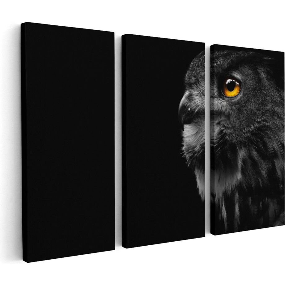 Artaza Canvas Schilderij Drieluik Zwarte Uil Met Gouden Ogen - 60x40 - Klein - Foto Op Canvas - Canvas Print afbeelding 1