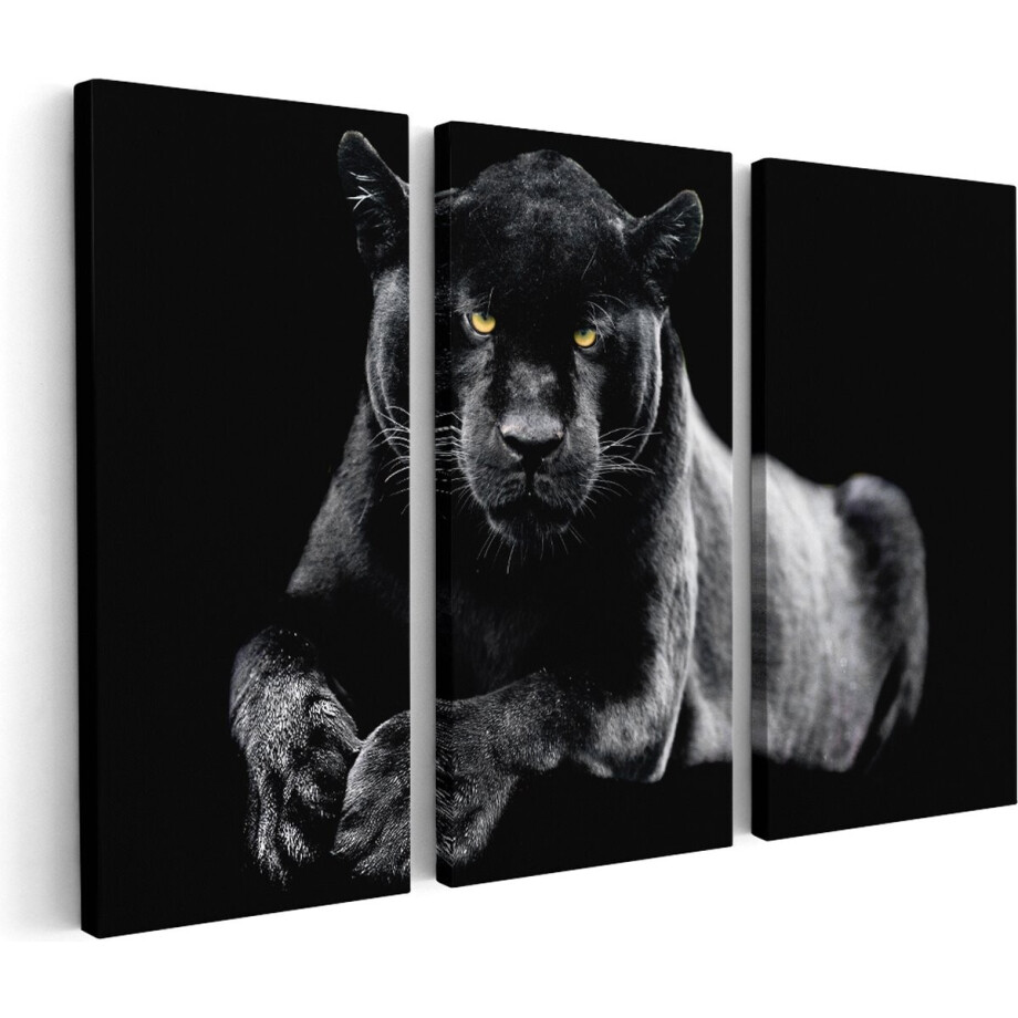 Artaza Canvas Schilderij Drieluik Zwarte Panter - 60x40 - Klein - Foto Op Canvas - Canvas Print afbeelding 1
