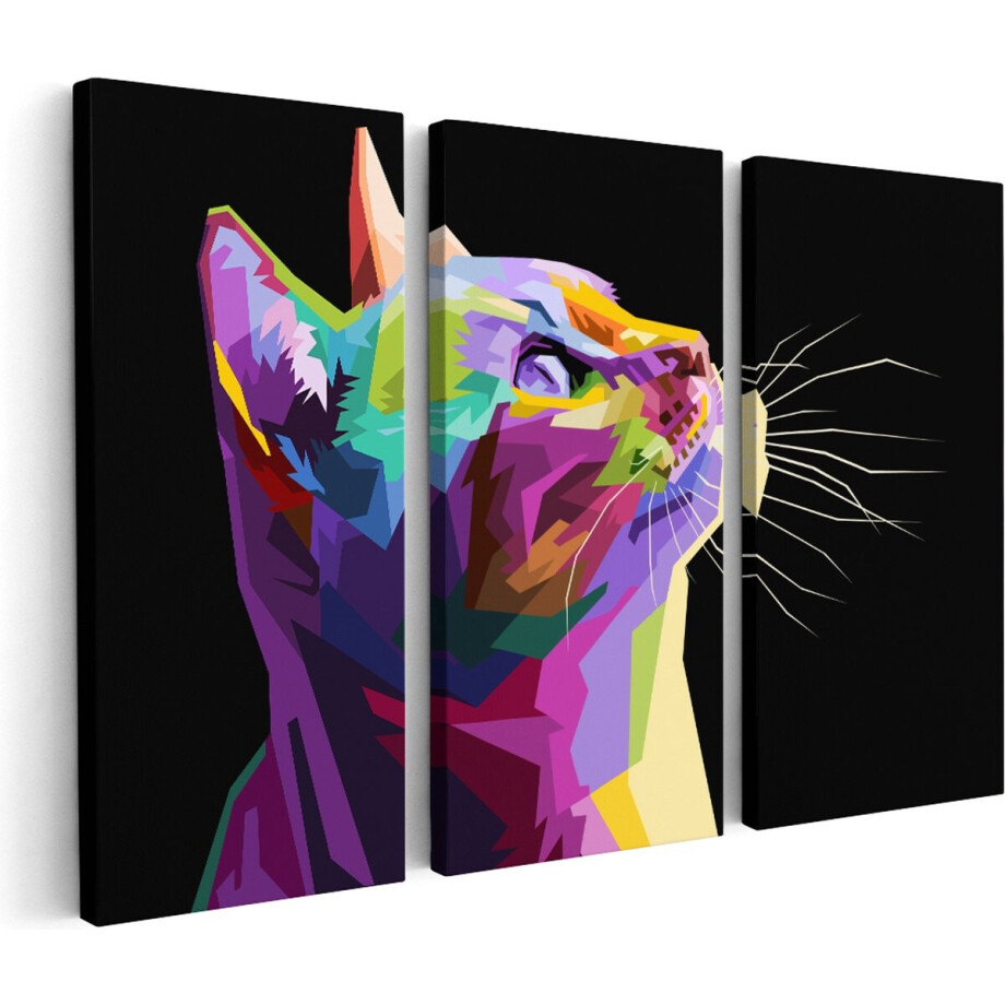 Artaza Canvas Schilderij Drieluik Kleurrijke Kat Kijkt Naar Boven - Abstract - 150x100 cm - Groot - Wanddecoratie Woonkamer - Schilderijen - Muurdecoratie Artaza Canvas Schilderij Drieluik Kleurrijke Kat Kijkt Naar Boven - Abstract - 150x100 cm - Groot - Wanddecoratie Woonkamer - Schilderijen - Muurdecoratie afbeelding 1