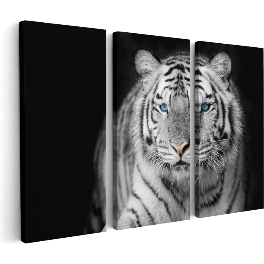 Artaza Canvas Schilderij Drieluik Tijger Met Blauwe Ogen - Zwart Wit - 150x100 - Groot - Foto Op Canvas - Canvas Print afbeelding 1