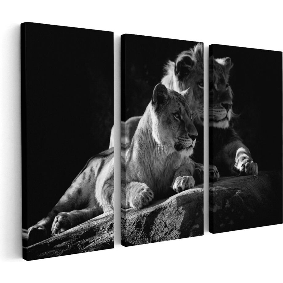 Artaza Canvas Schilderij Drieluik Leeuw en Leeuwin zitten naast elkaar - Zwart Wit - 150x100 - Groot - Foto Op Canvas - Canvas Print afbeelding 1
